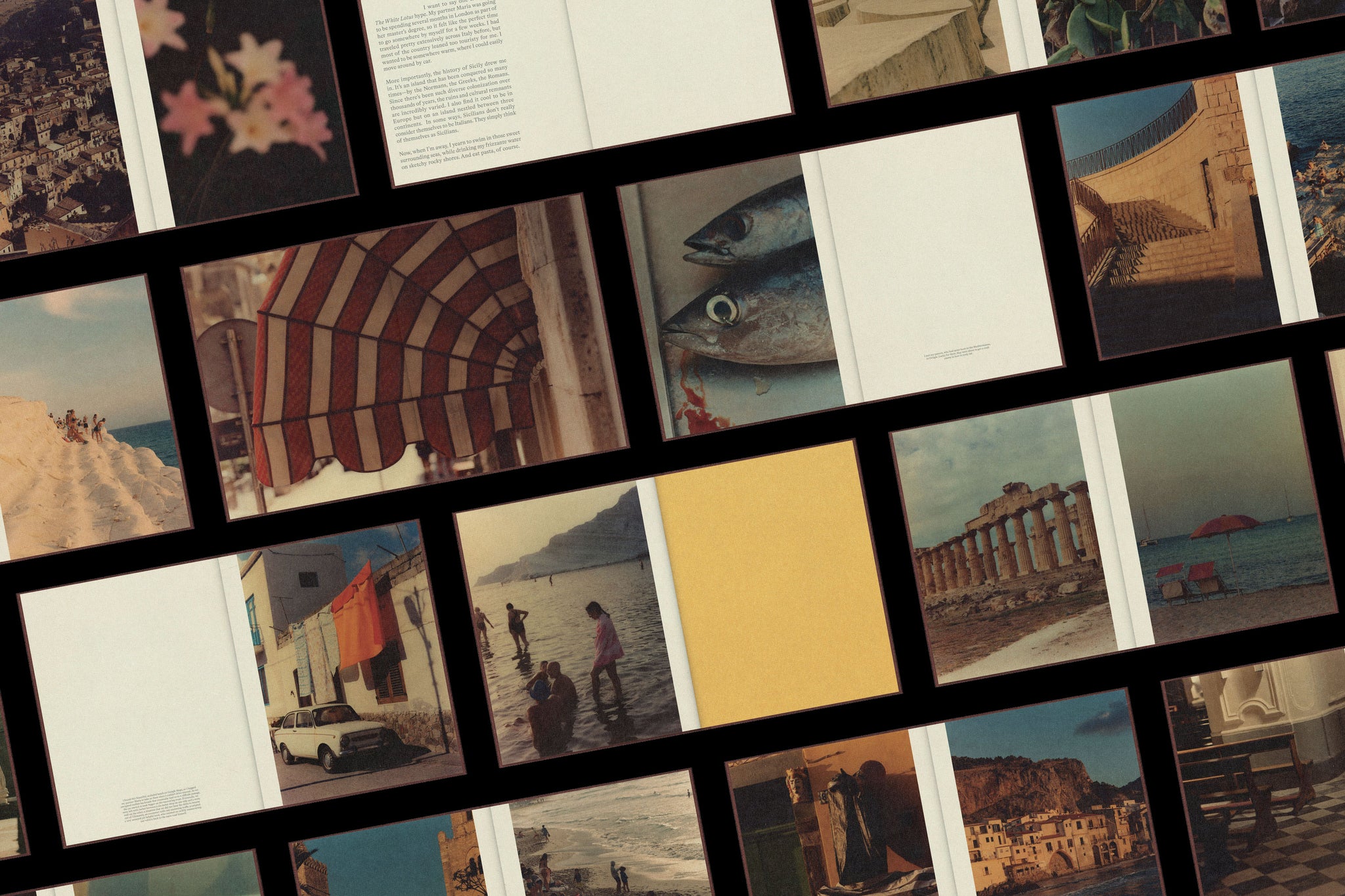 Armin Tehrani: Sicily